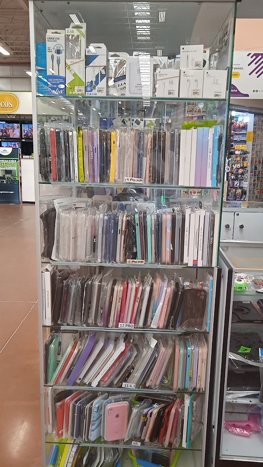 leetx-google-photo-70624-5 leetx-google-photo-70624-5