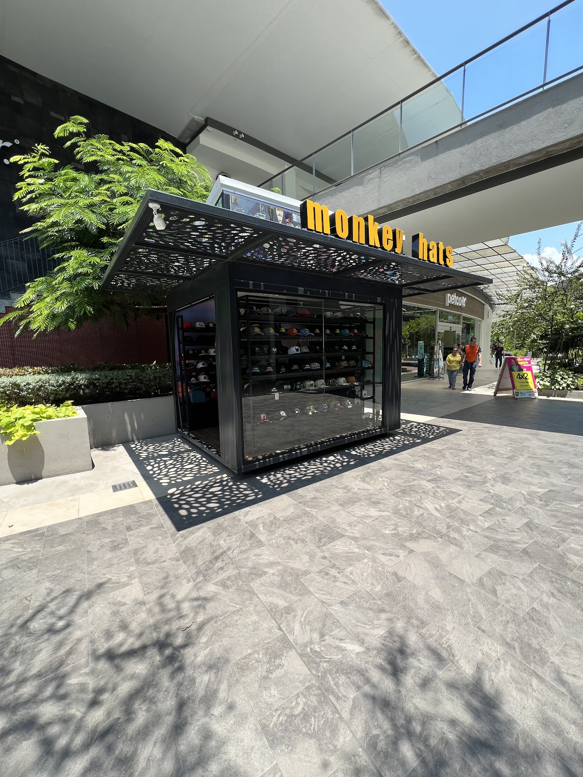 leetx-google-photo-70776-1