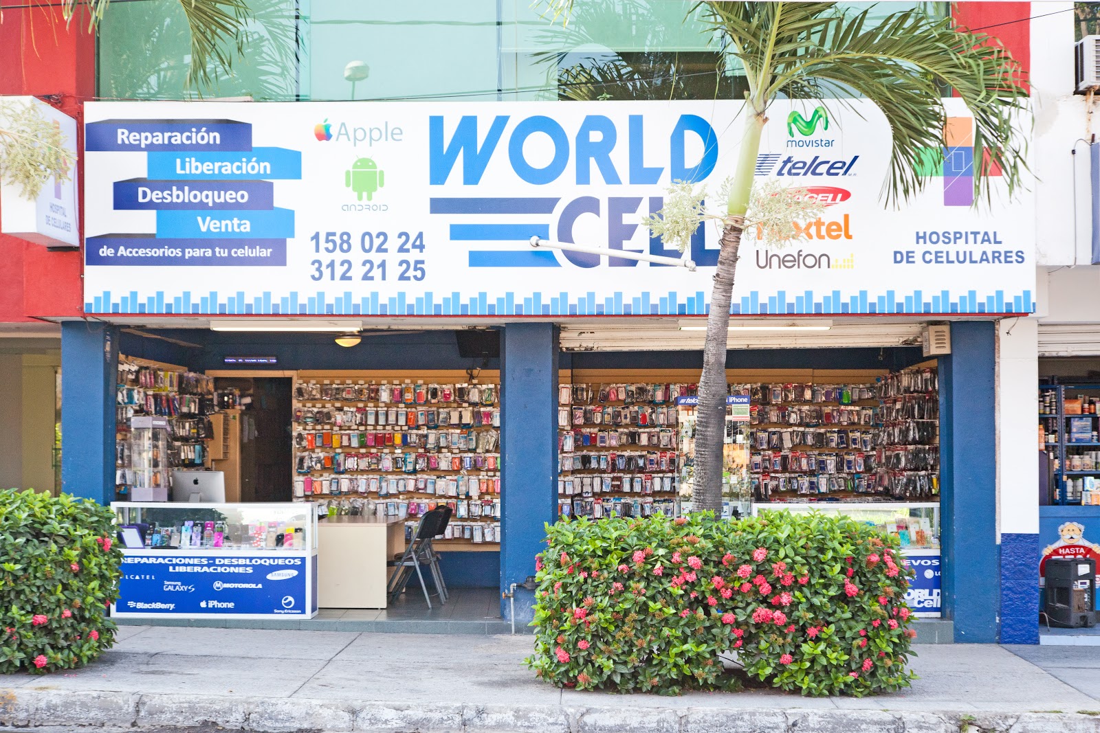 leetx-google-photo-70823-4 leetx-google-photo-70823-4