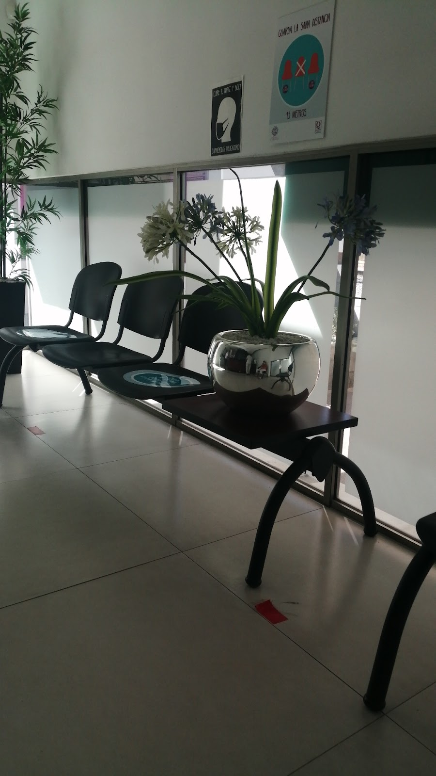 leetx-google-photo-70886-2 leetx-google-photo-70886-2