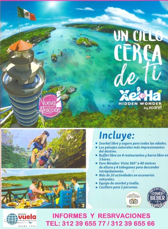 leetx-google-photo-71022-8 leetx-google-photo-71022-8