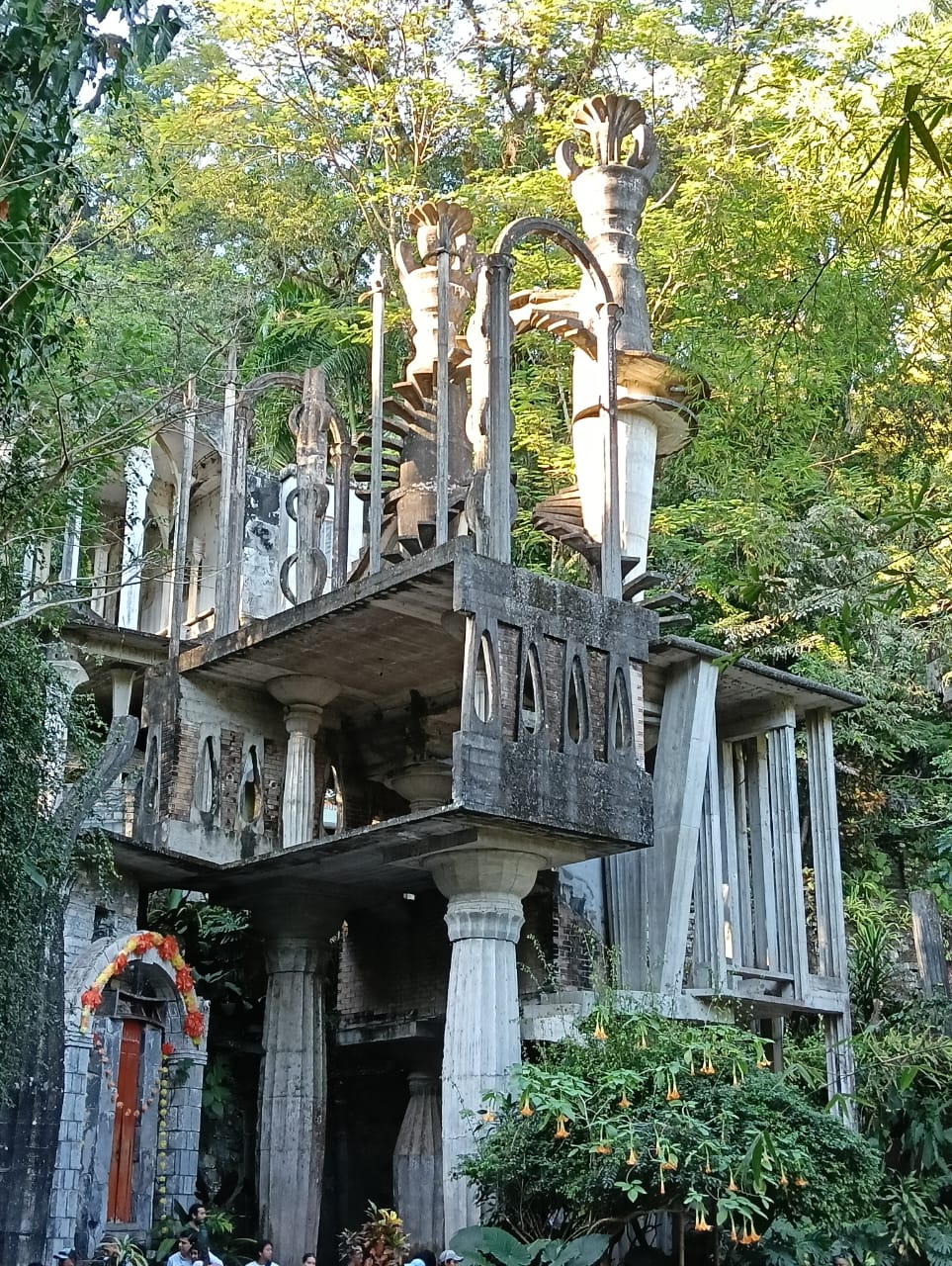 leetx-google-photo-71032-2 leetx-google-photo-71032-2