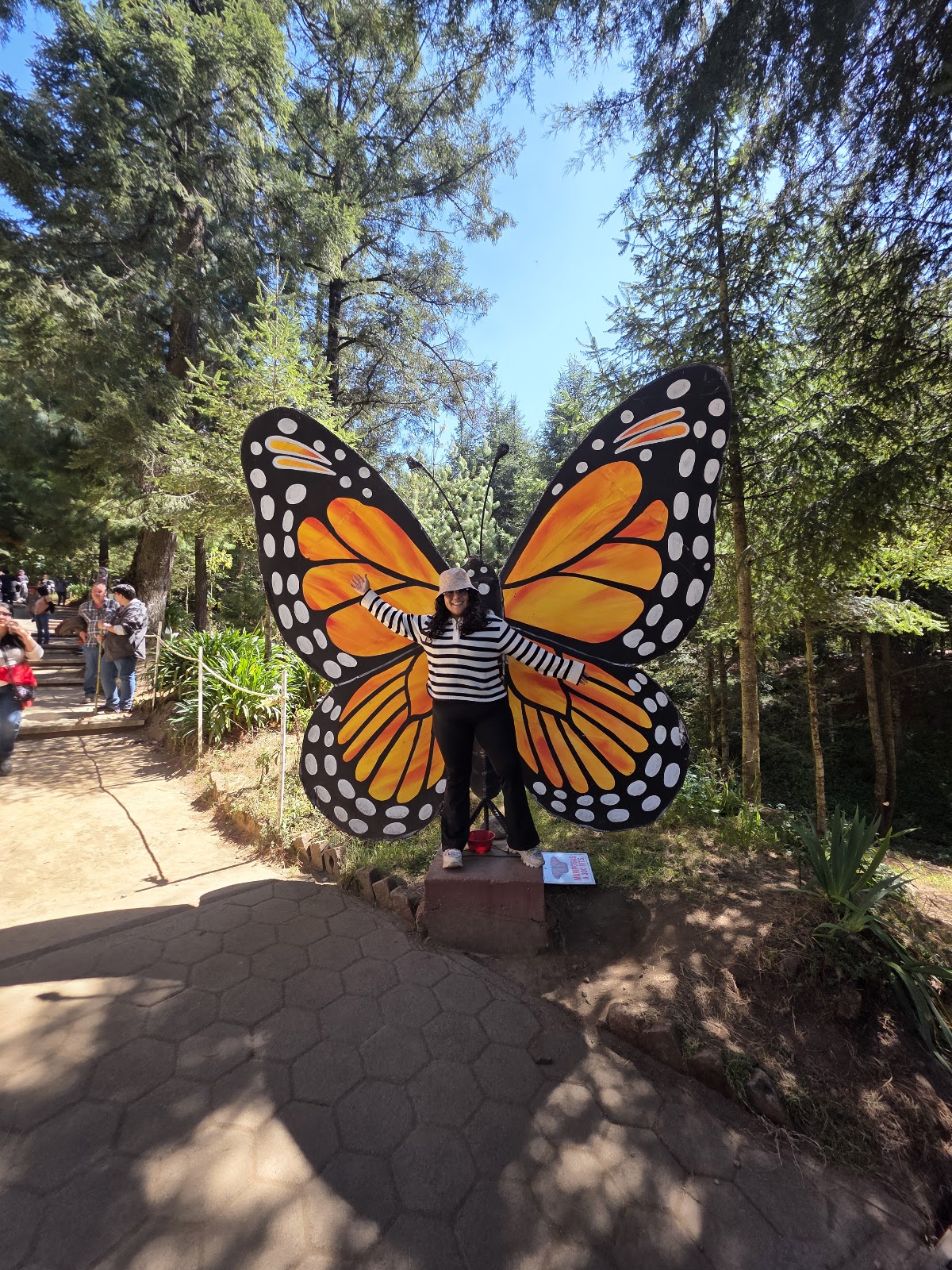 leetx-google-photo-71032-5 leetx-google-photo-71032-5