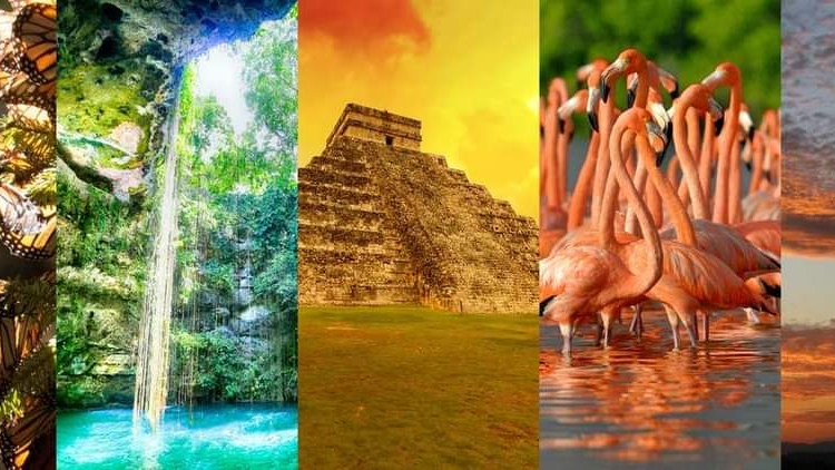 leetx-google-photo-71114-1