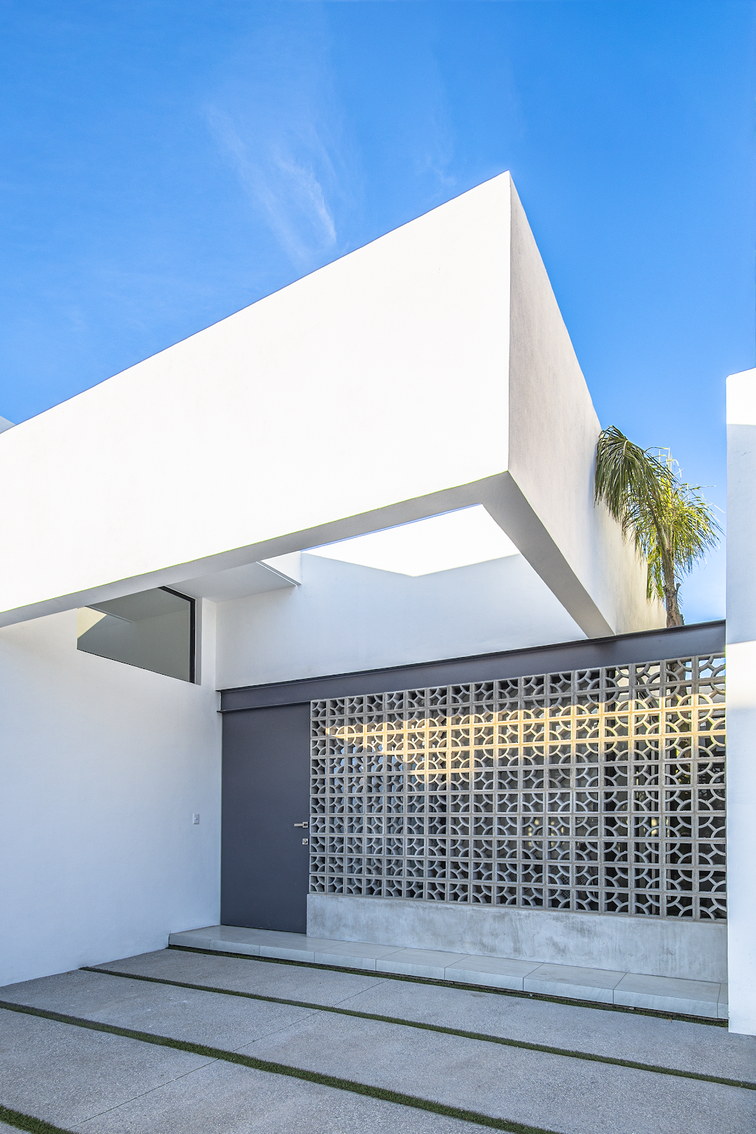 leetx-google-photo-71281-1