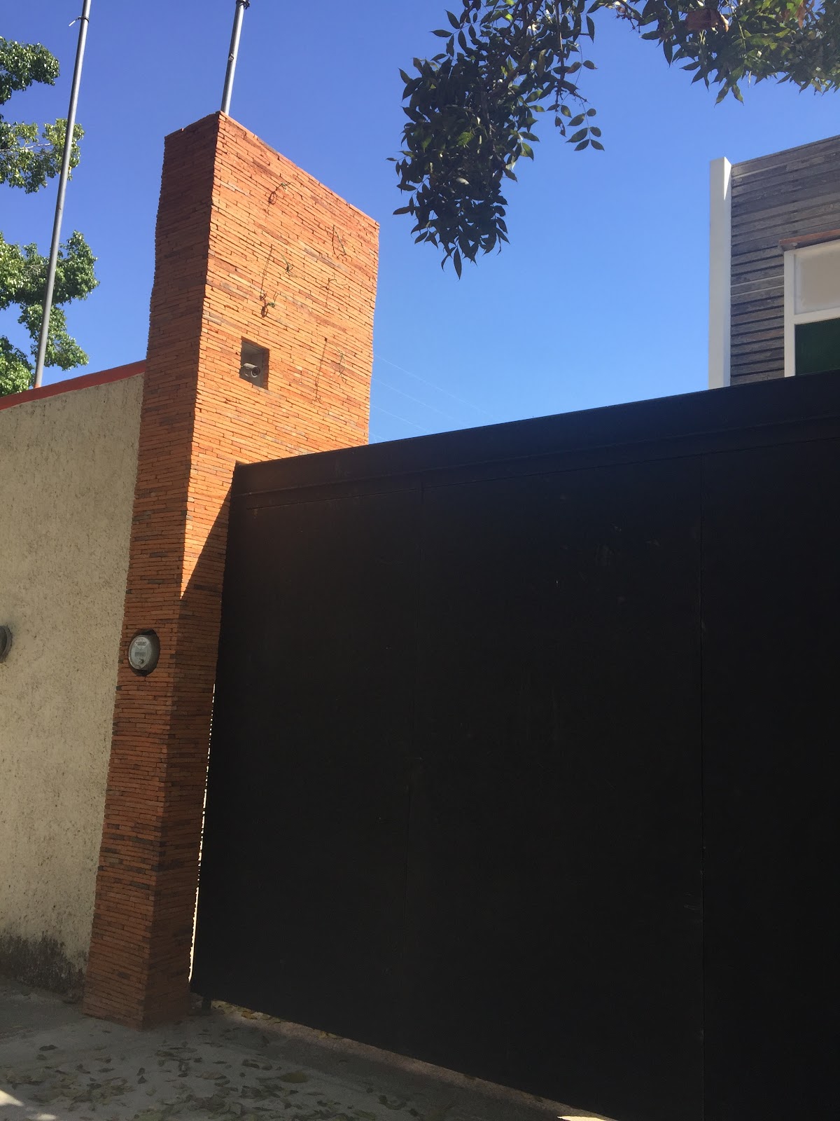 leetx-google-photo-71411-1-1