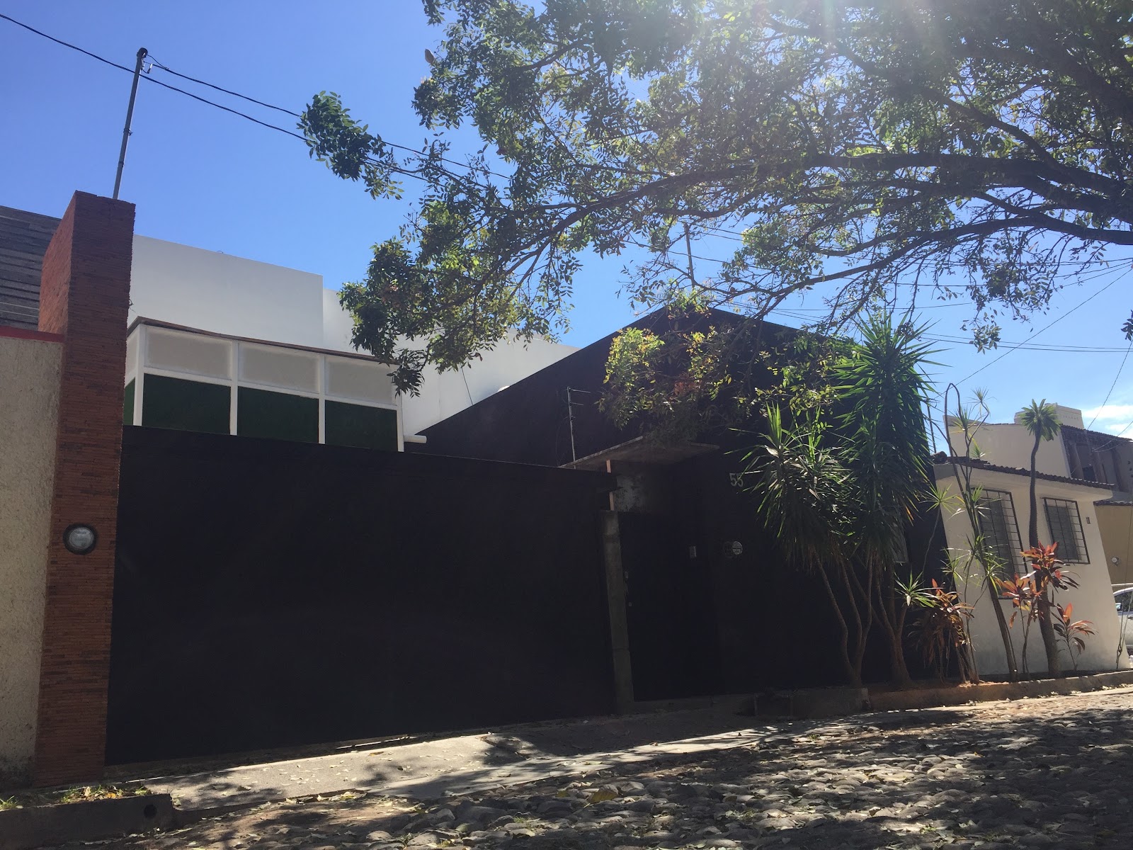 leetx-google-photo-71411-2-1 leetx-google-photo-71411-2-1