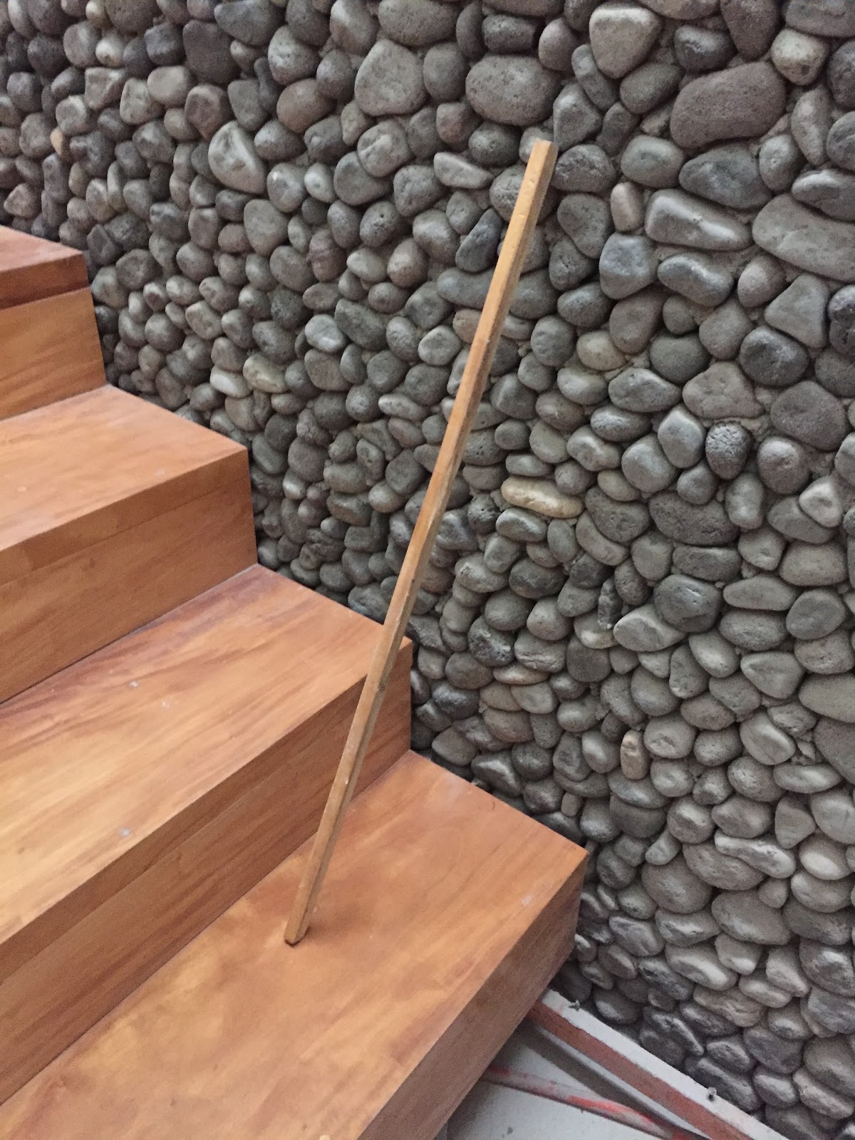 leetx-google-photo-71411-3-1 leetx-google-photo-71411-3-1