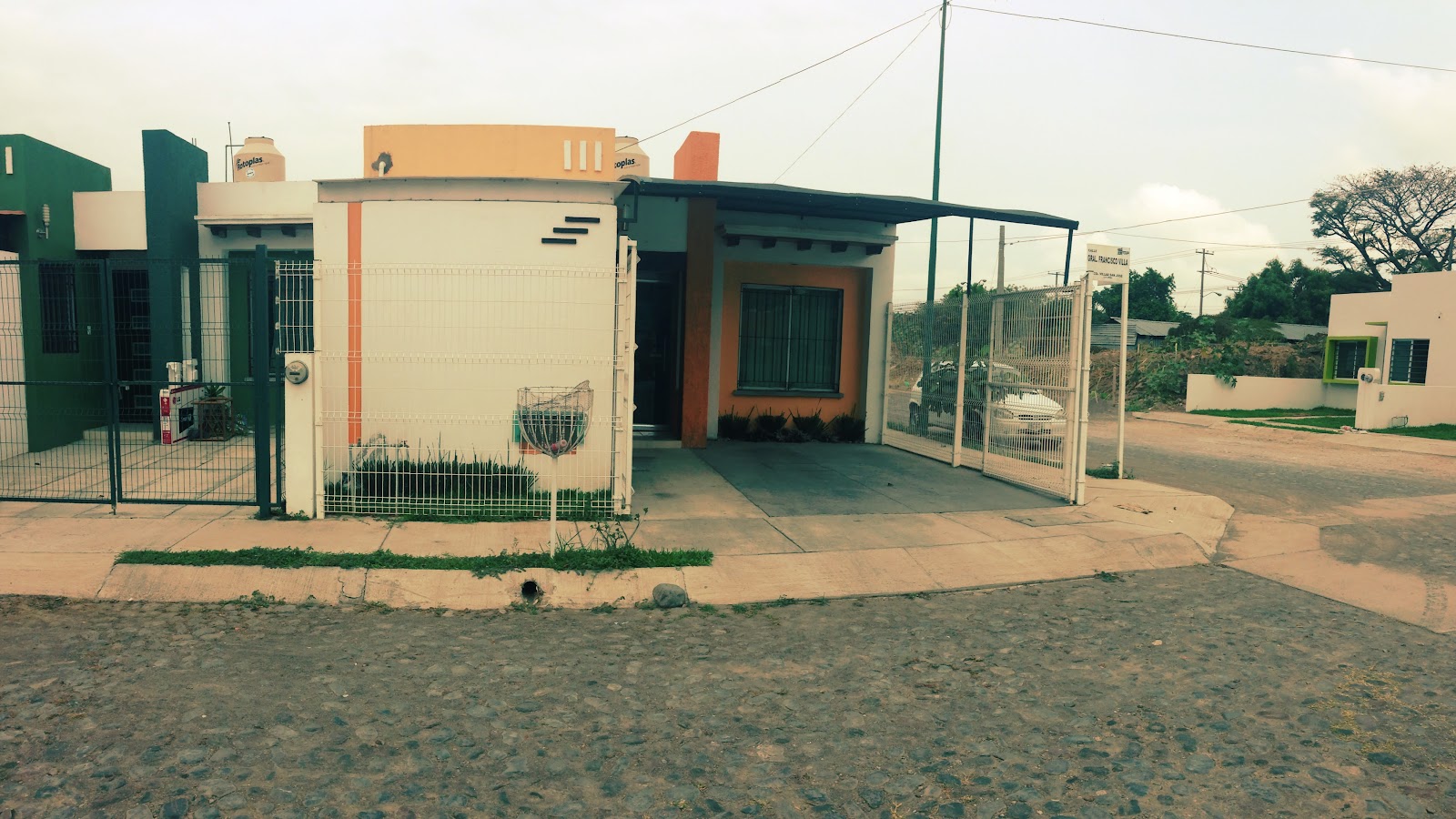 leetx-google-photo-71481-4-1 leetx-google-photo-71481-4-1