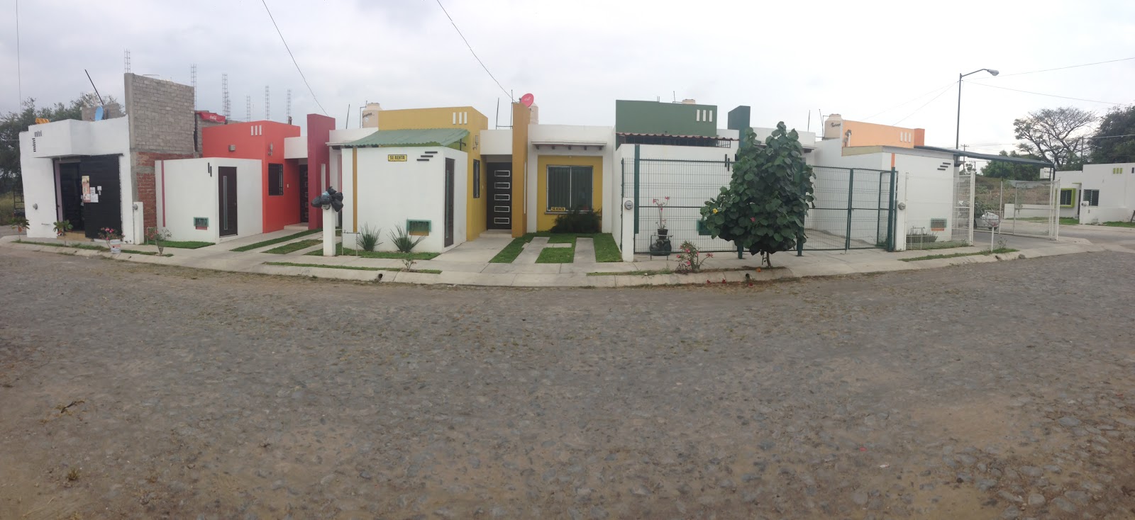 leetx-google-photo-71481-6-1 leetx-google-photo-71481-6-1