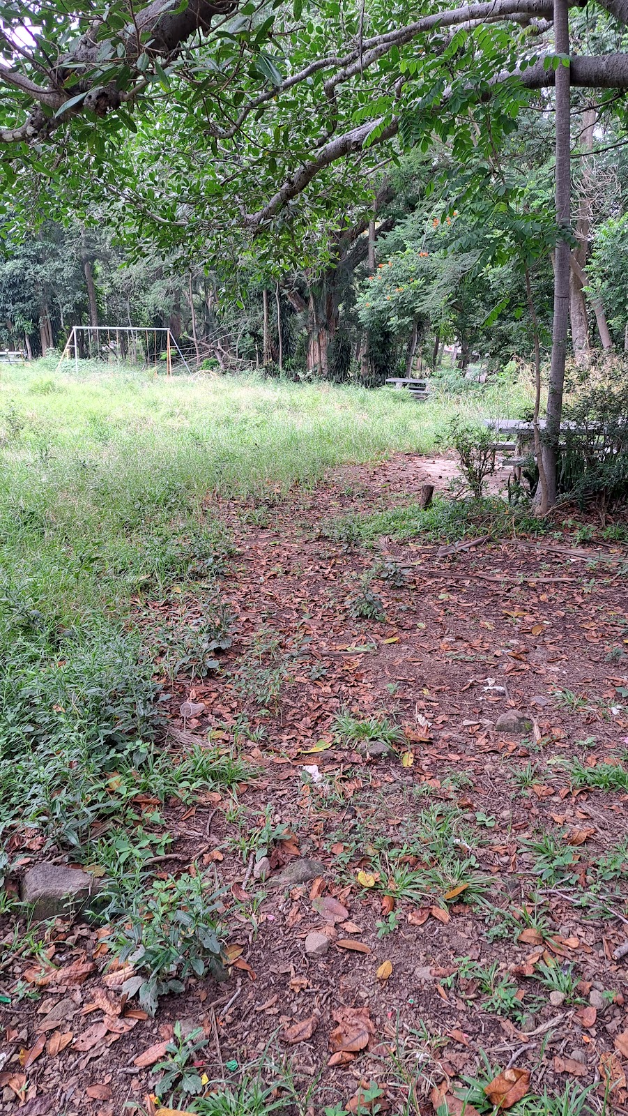 leetx-google-photo-71543-7 leetx-google-photo-71543-7