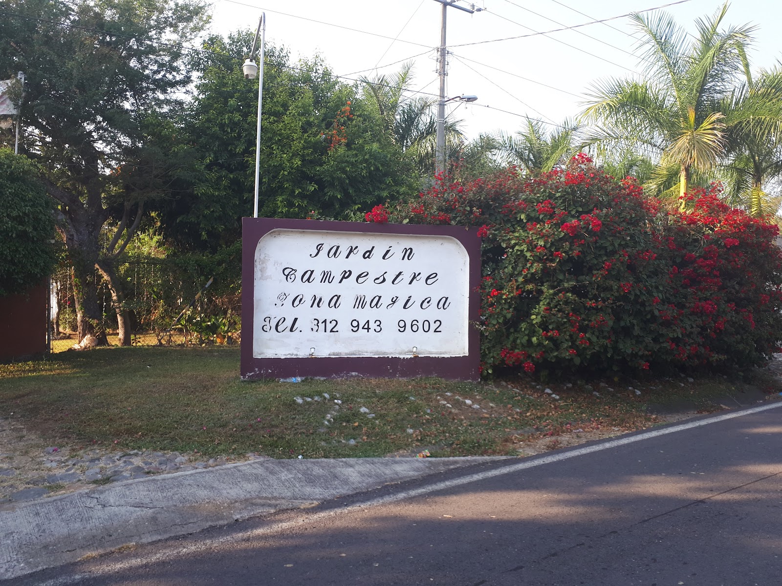 leetx-google-photo-71554-1