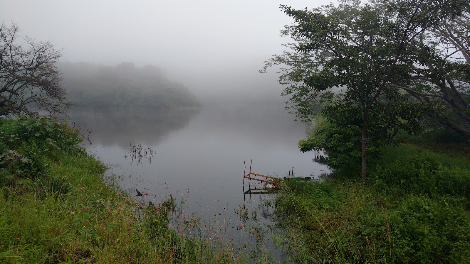 leetx-google-photo-71554-2 leetx-google-photo-71554-2