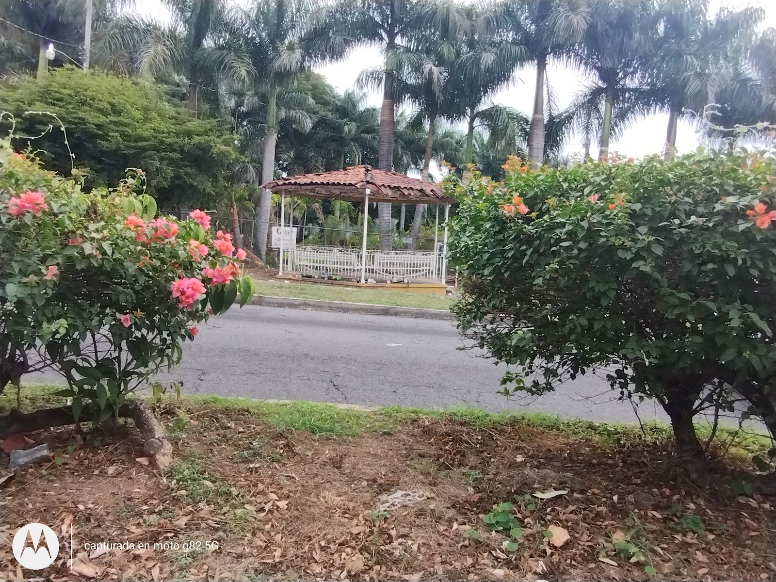 leetx-google-photo-71554-3 leetx-google-photo-71554-3