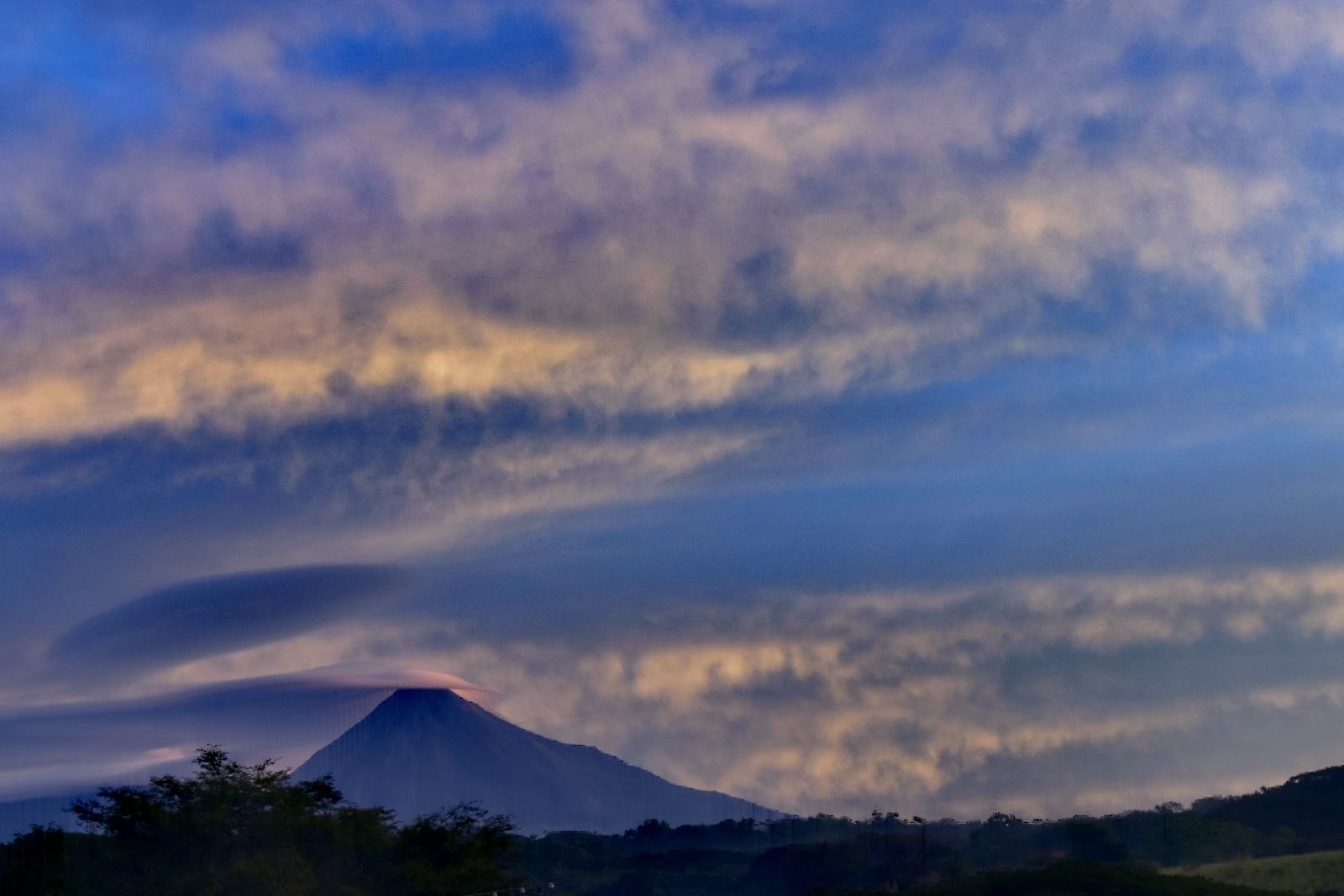 leetx-google-photo-71554-5 leetx-google-photo-71554-5