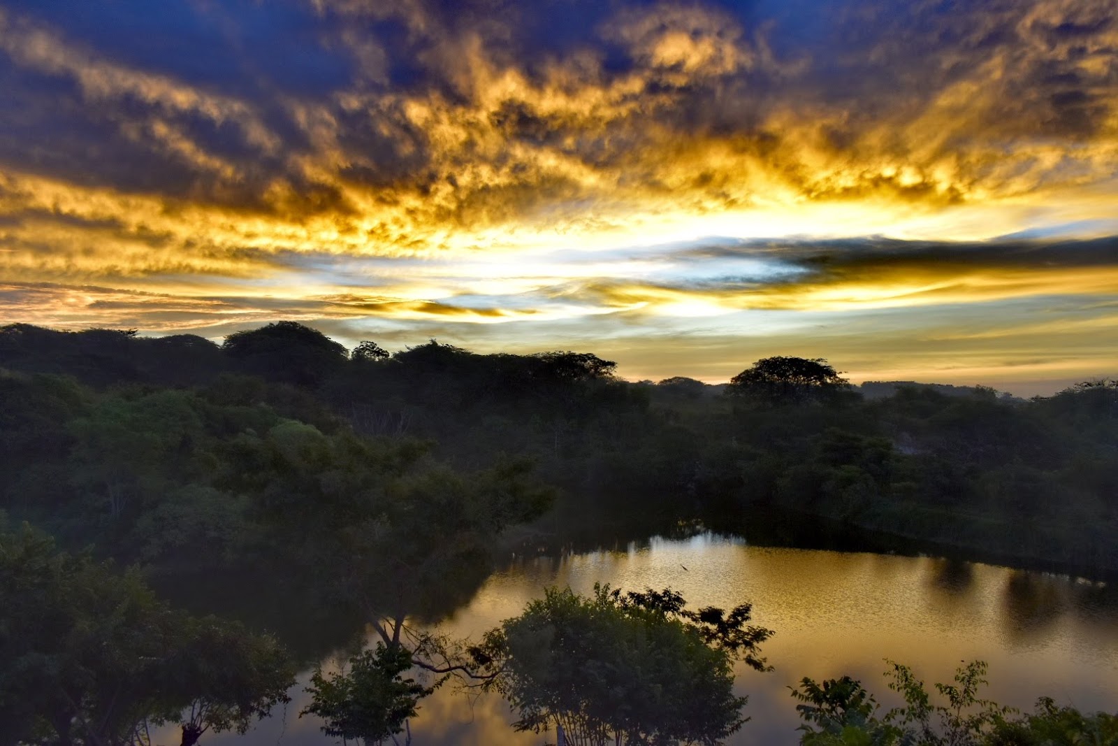 leetx-google-photo-71554-6 leetx-google-photo-71554-6