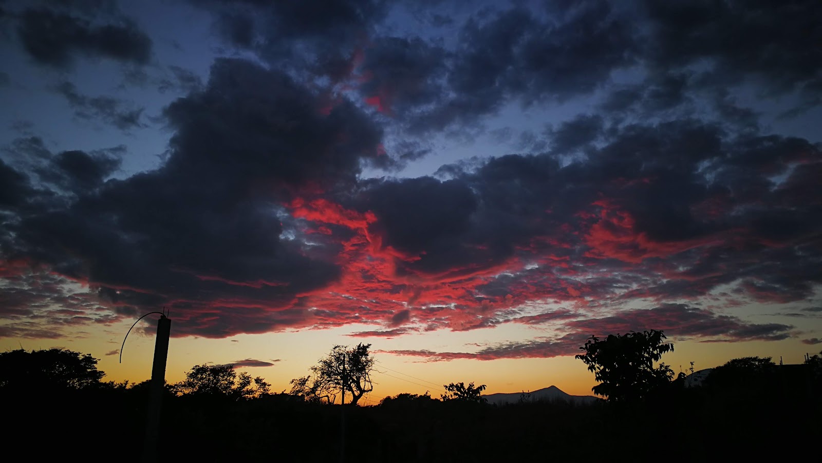 leetx-google-photo-71554-7 leetx-google-photo-71554-7