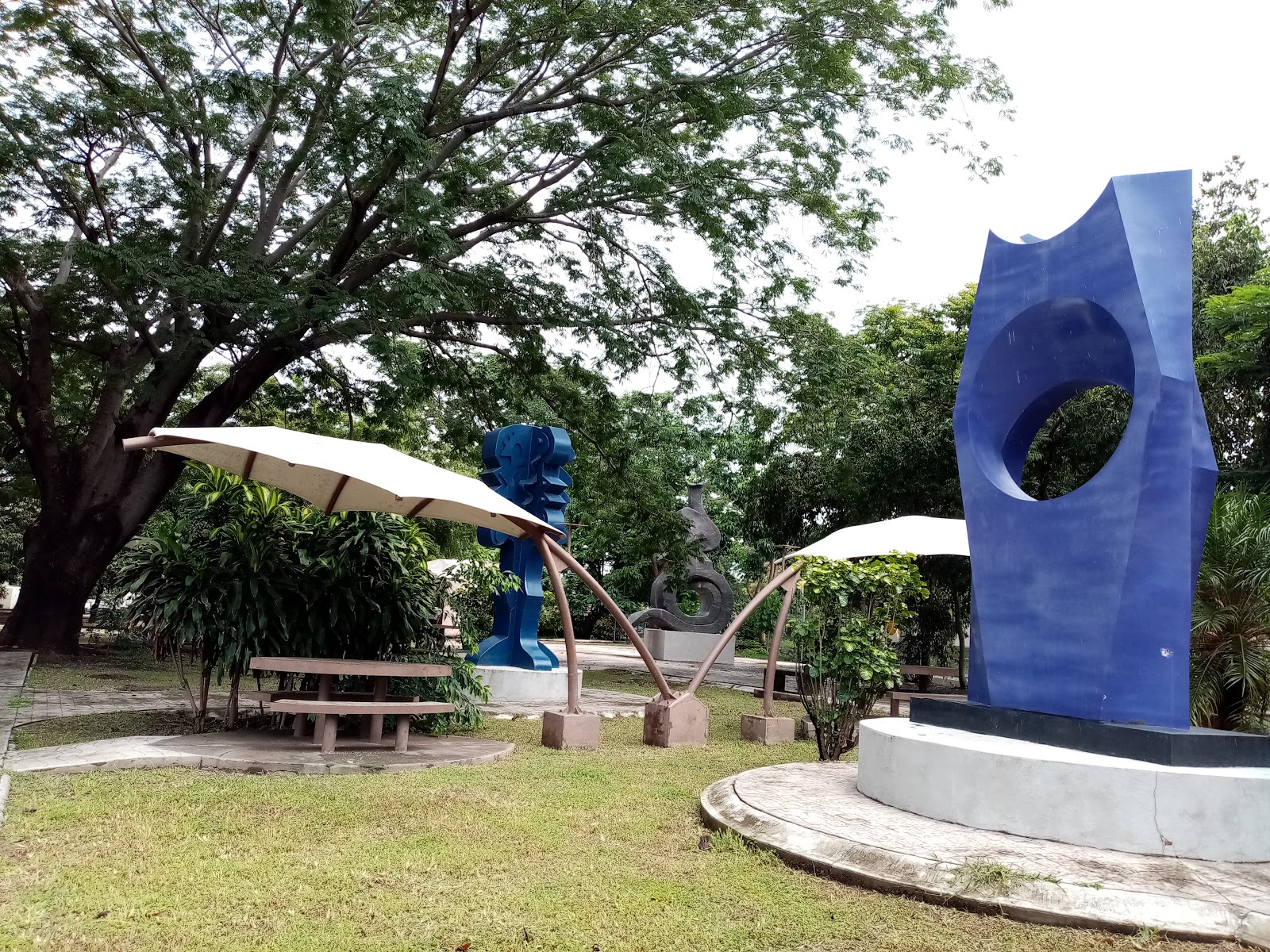 leetx-google-photo-71580-2 leetx-google-photo-71580-2