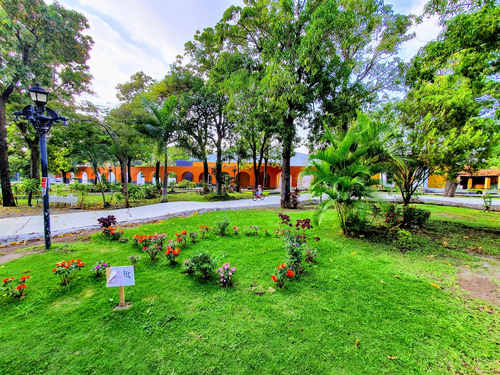 leetx-google-photo-71603-1