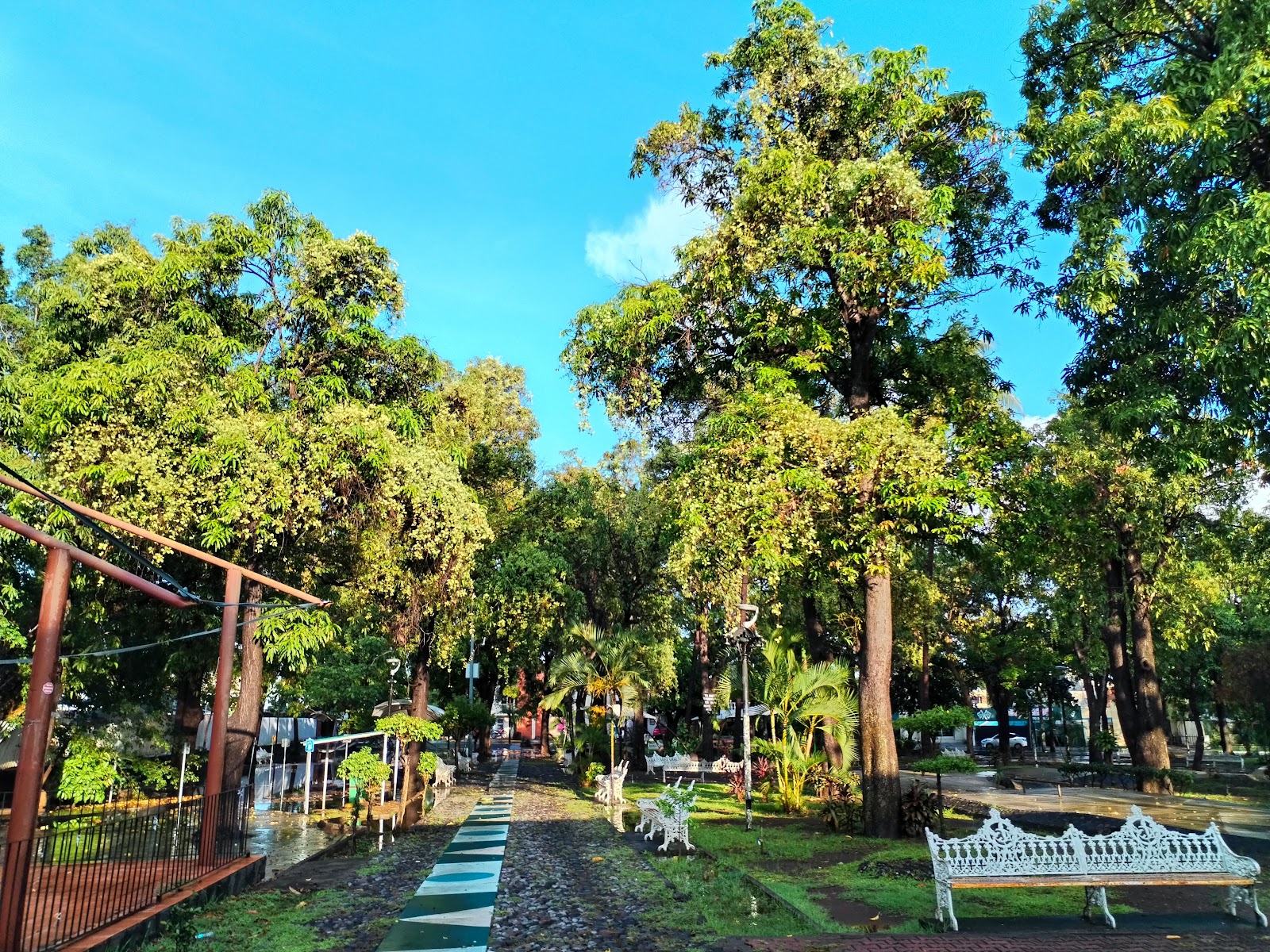 leetx-google-photo-71603-3 leetx-google-photo-71603-3