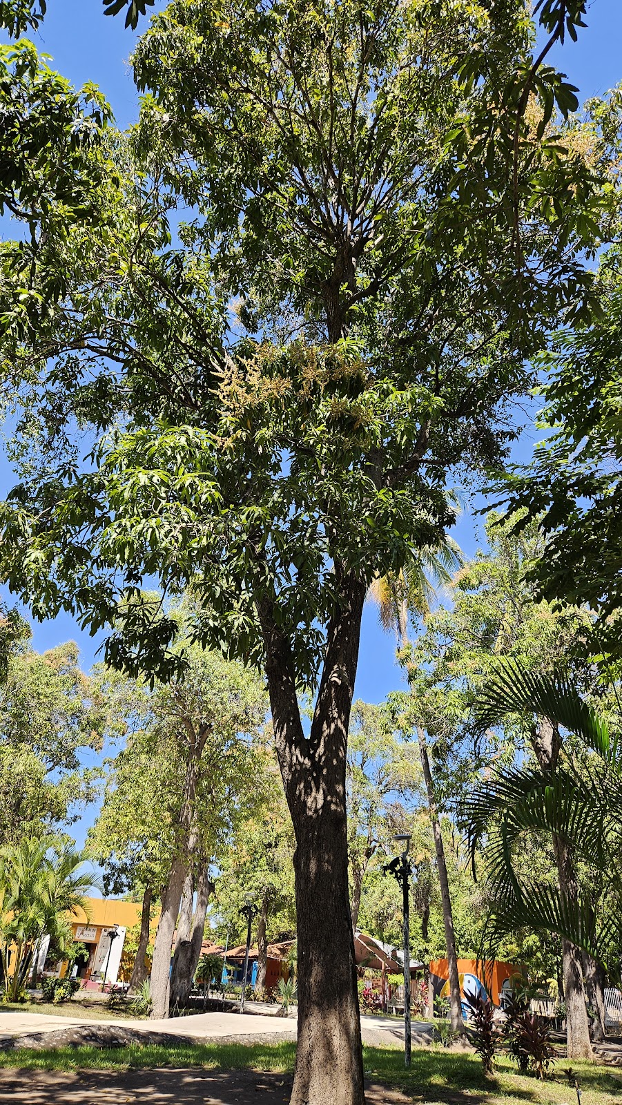 leetx-google-photo-71603-4 leetx-google-photo-71603-4