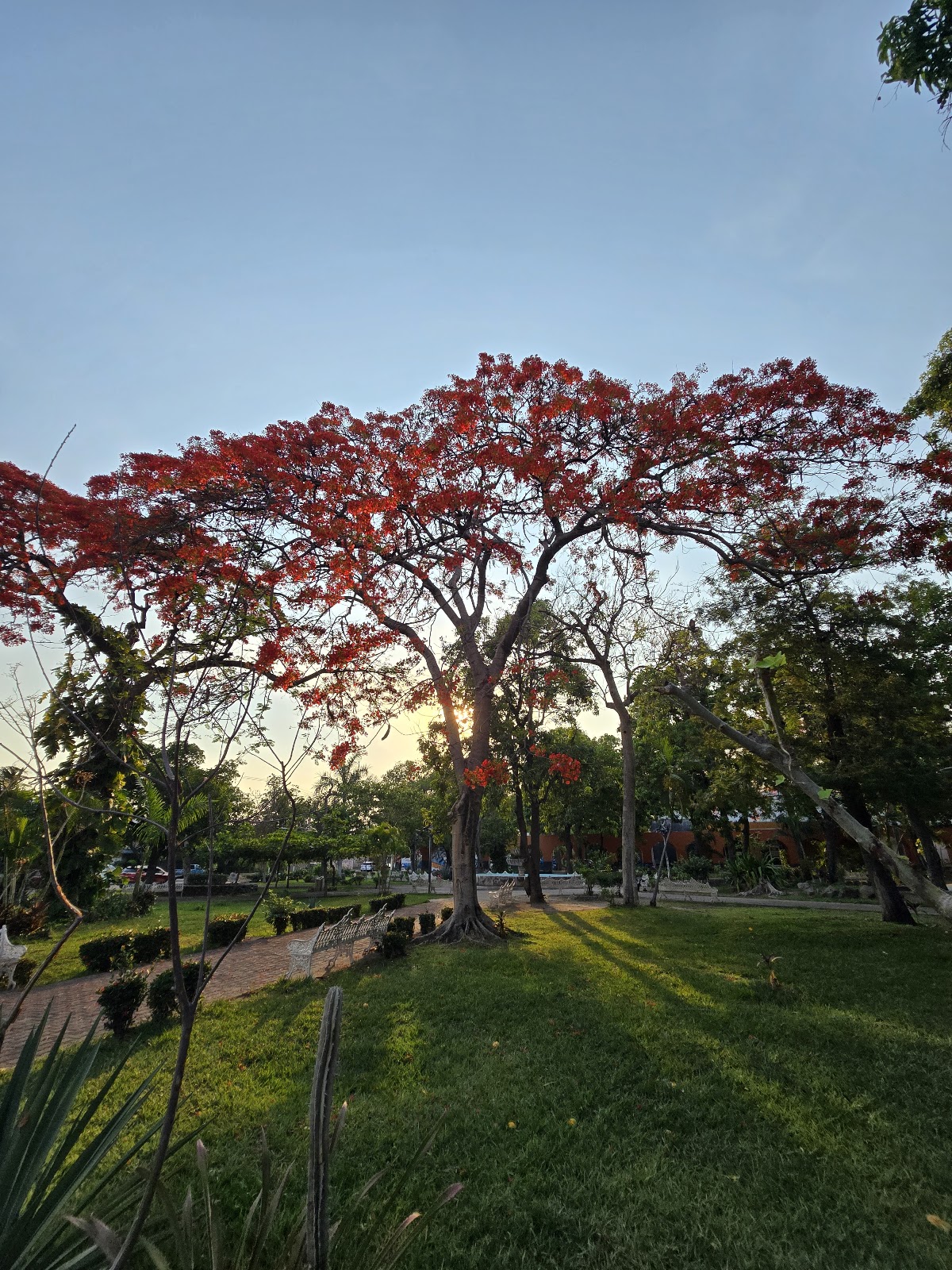 leetx-google-photo-71603-5 leetx-google-photo-71603-5