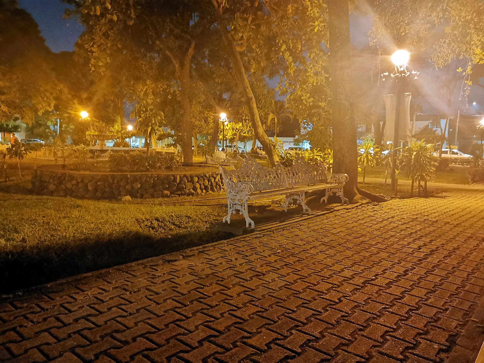 leetx-google-photo-71603-8 leetx-google-photo-71603-8