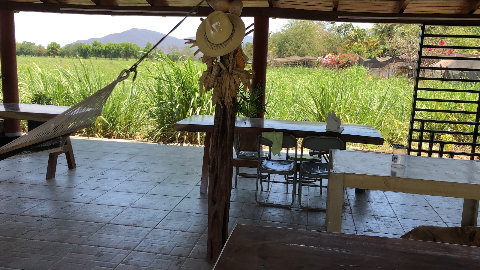 leetx-google-photo-71616-3 leetx-google-photo-71616-3