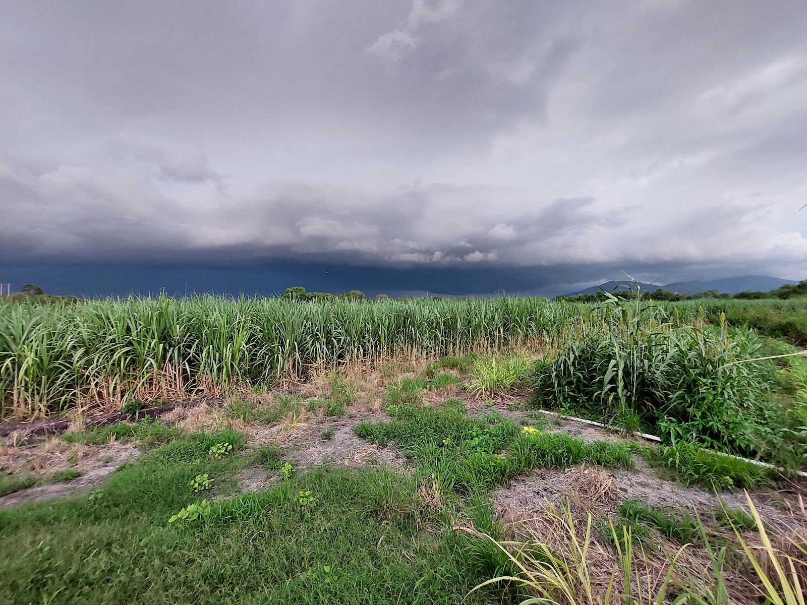 leetx-google-photo-71616-5 leetx-google-photo-71616-5