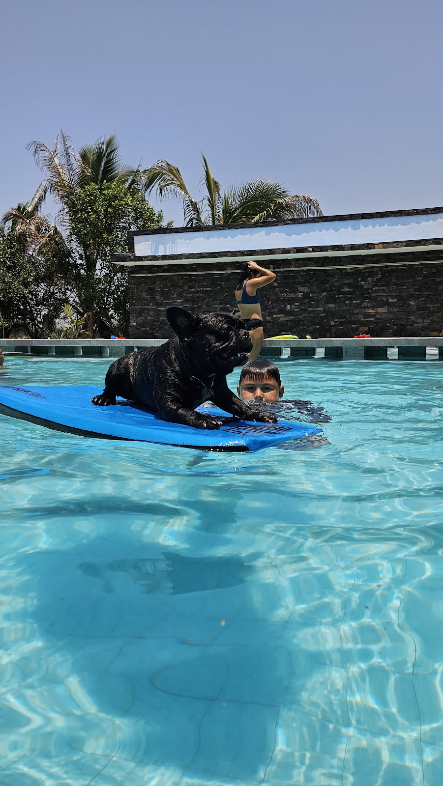 leetx-google-photo-71616-8 leetx-google-photo-71616-8