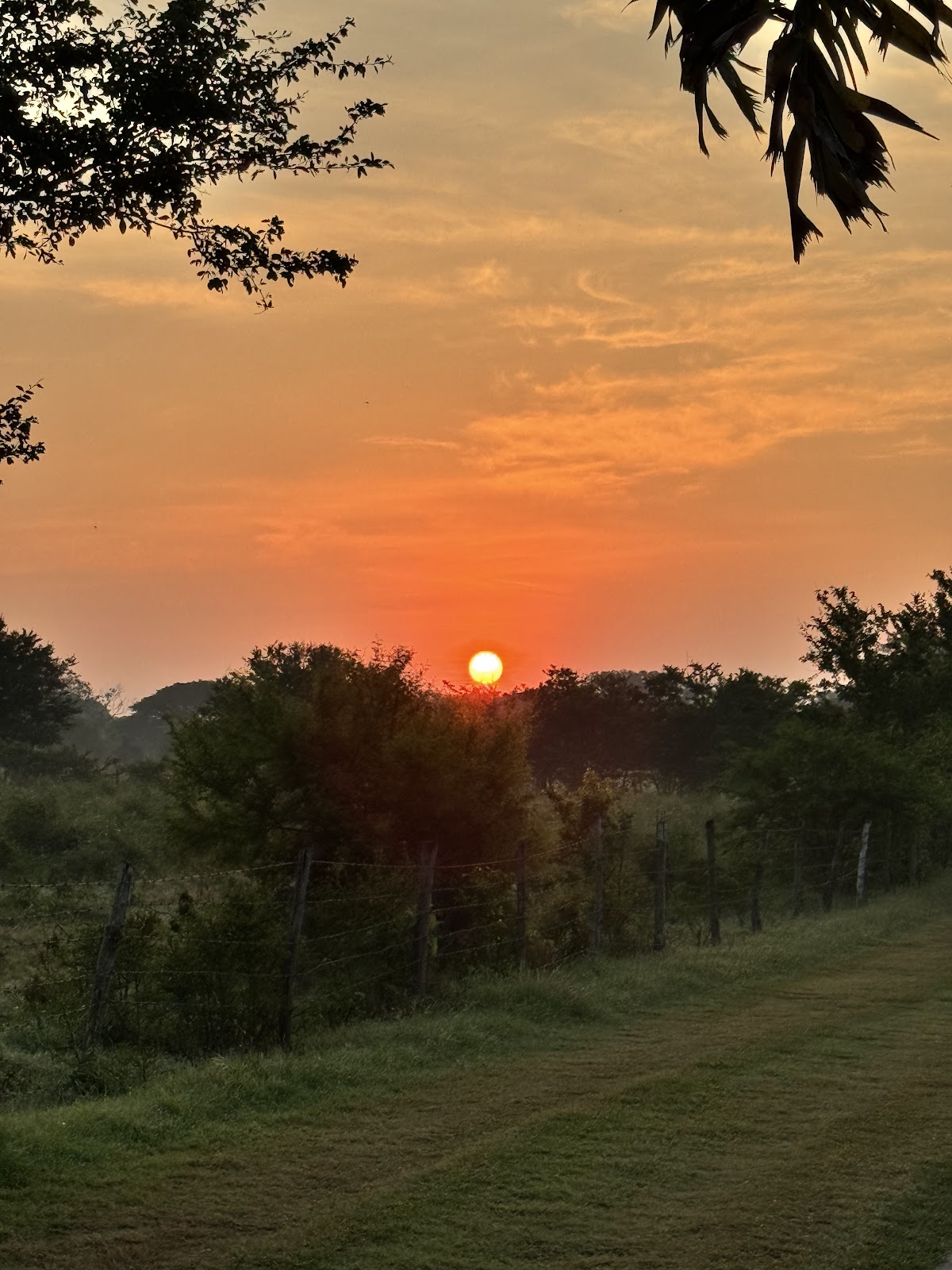 leetx-google-photo-71639-1