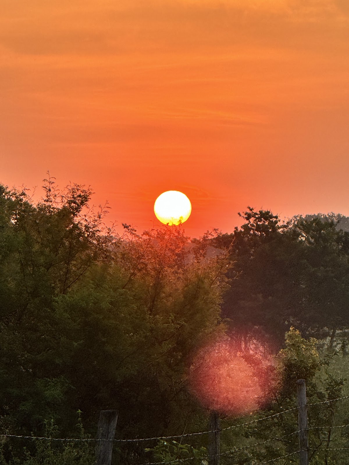 leetx-google-photo-71639-2 leetx-google-photo-71639-2