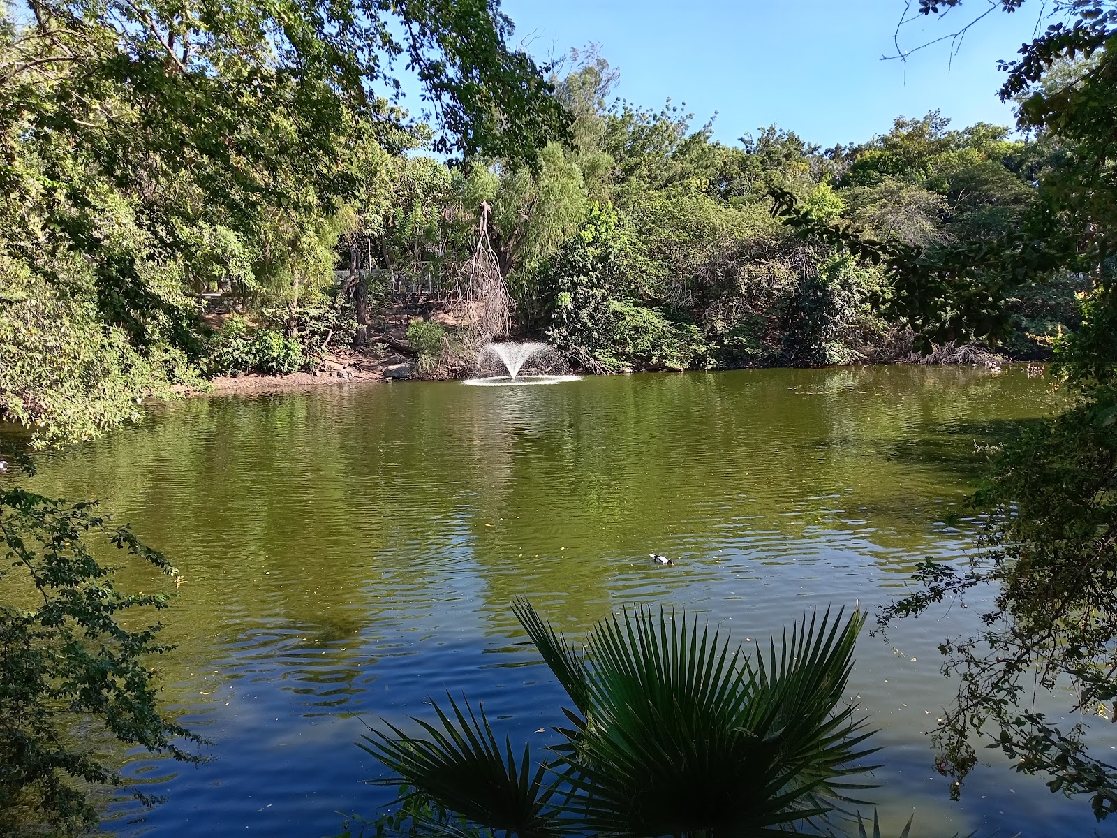 leetx-google-photo-71642-1