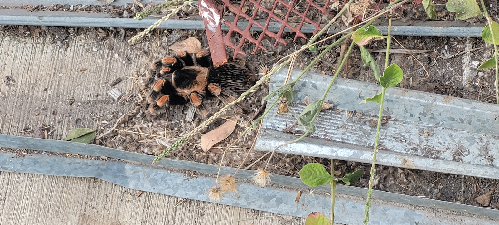 leetx-google-photo-71653-5 leetx-google-photo-71653-5