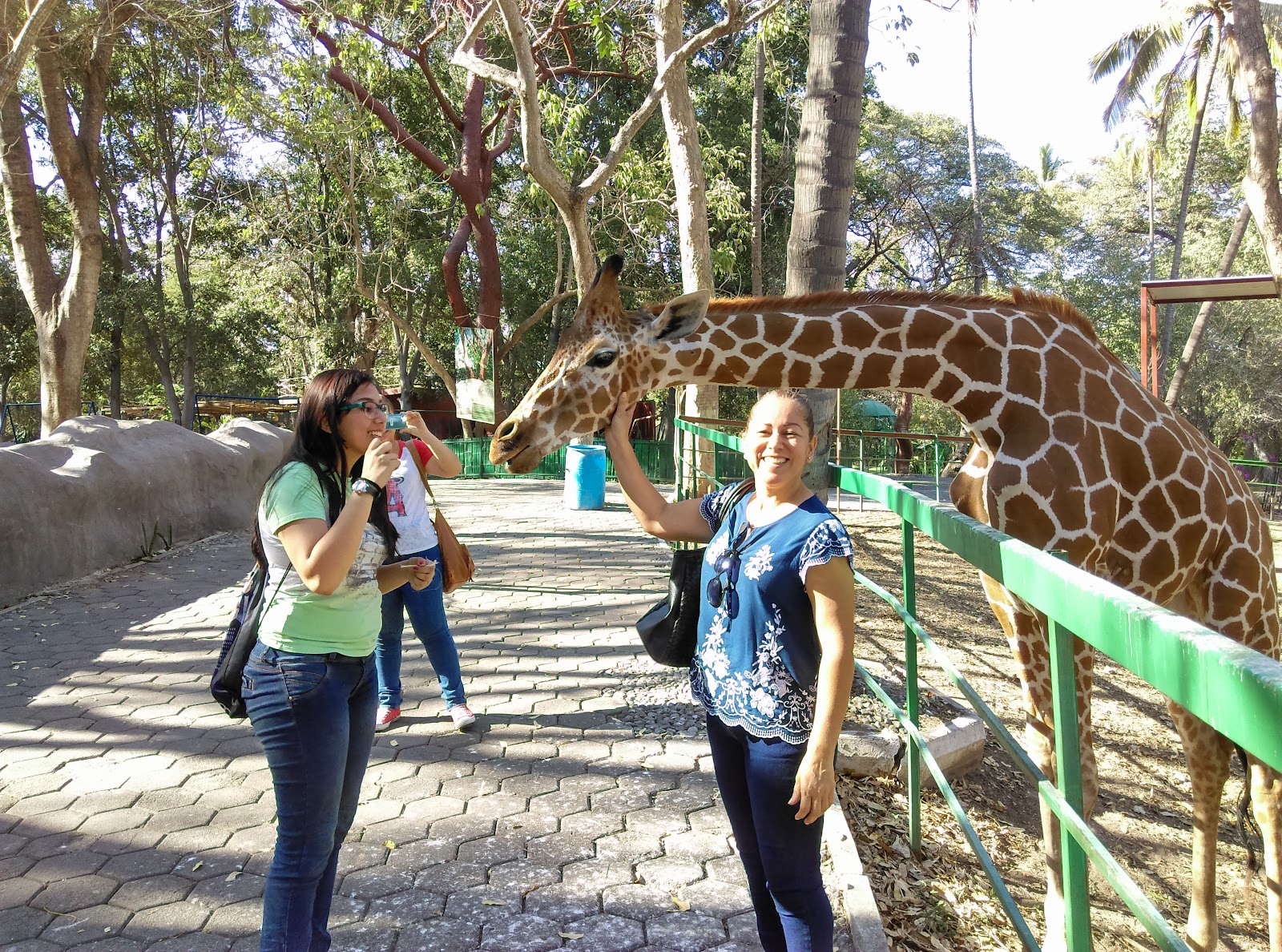 leetx-google-photo-71691-1