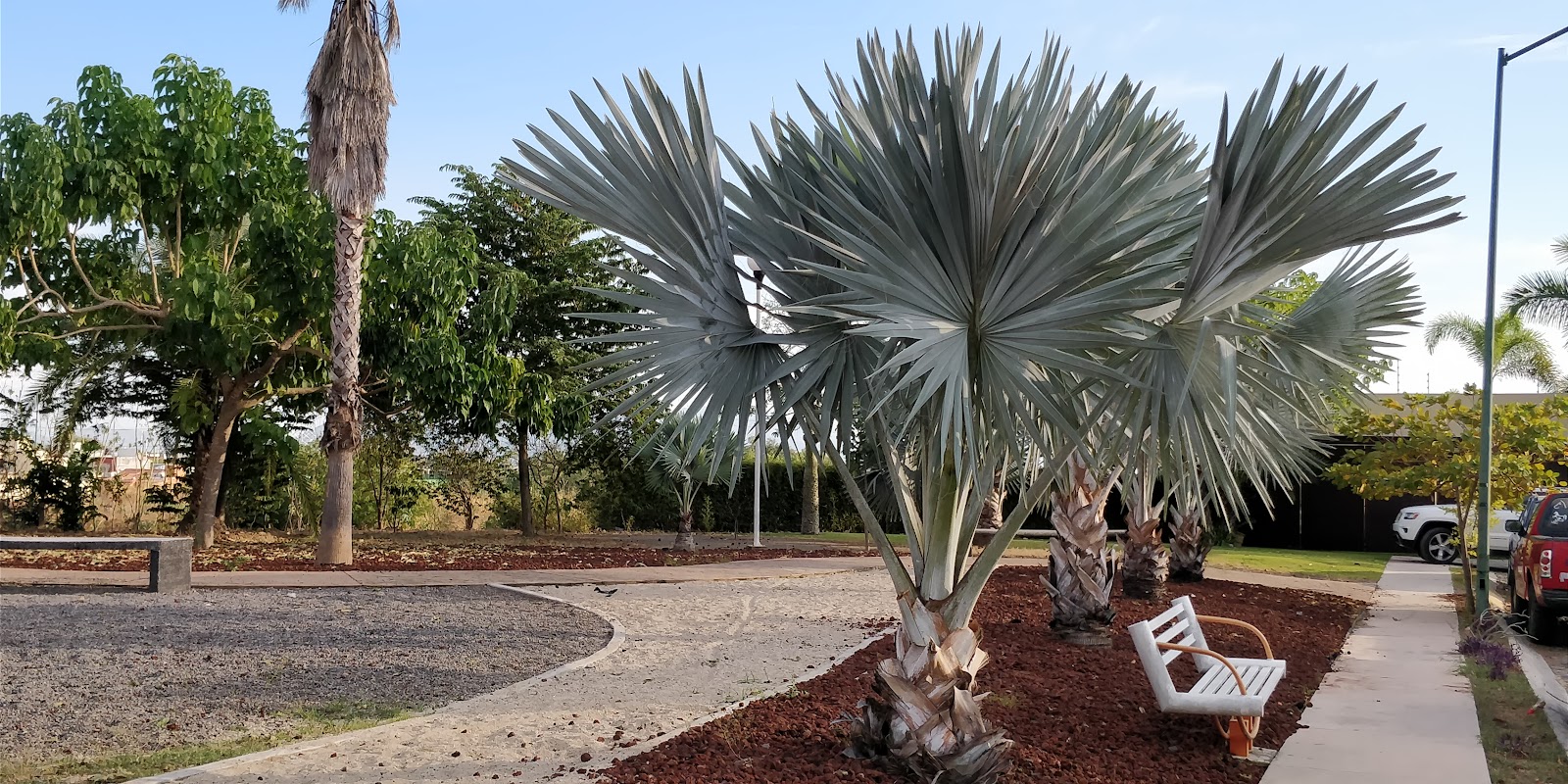 leetx-google-photo-71701-7 leetx-google-photo-71701-7