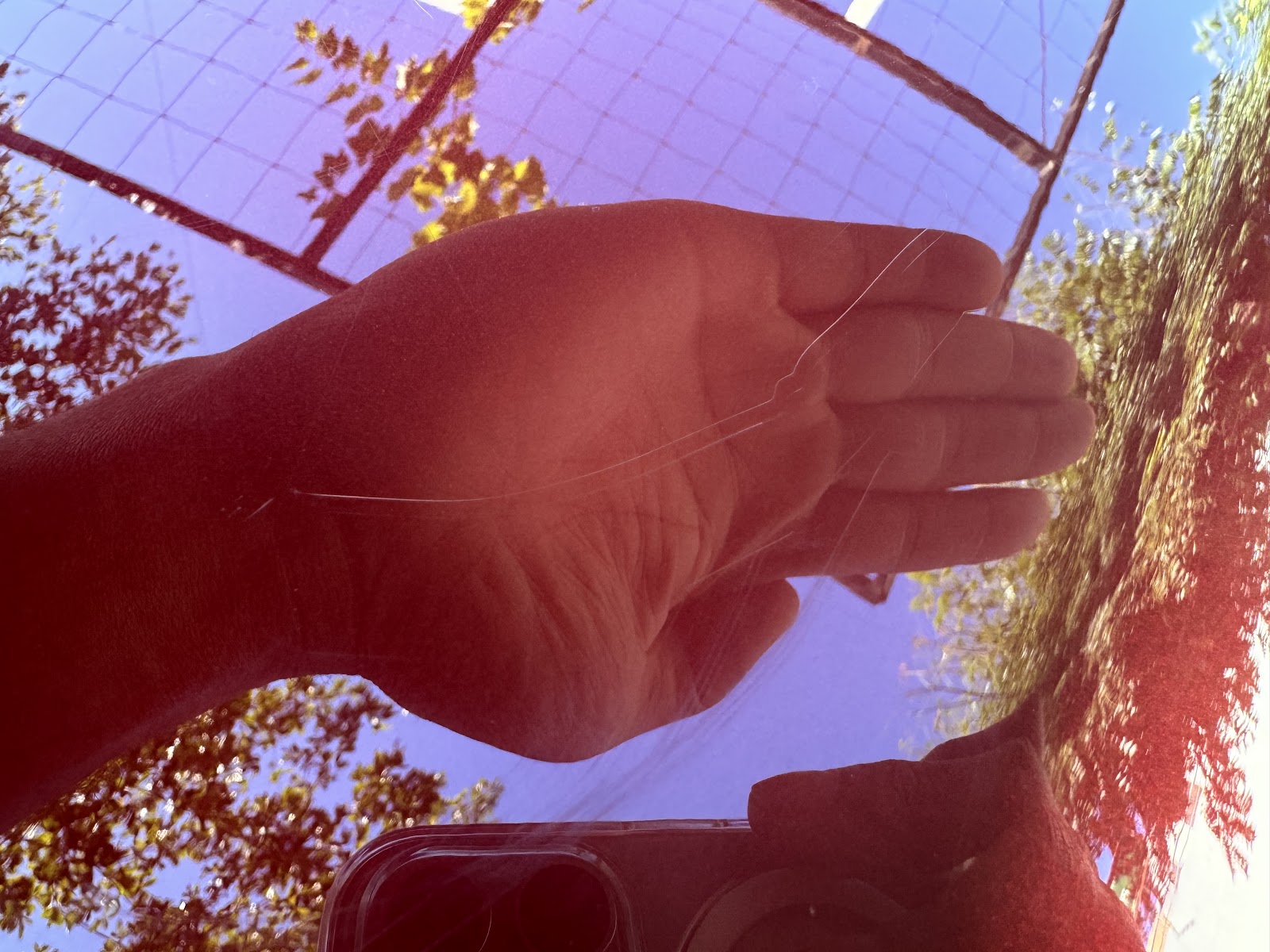 leetx-google-photo-71756-1