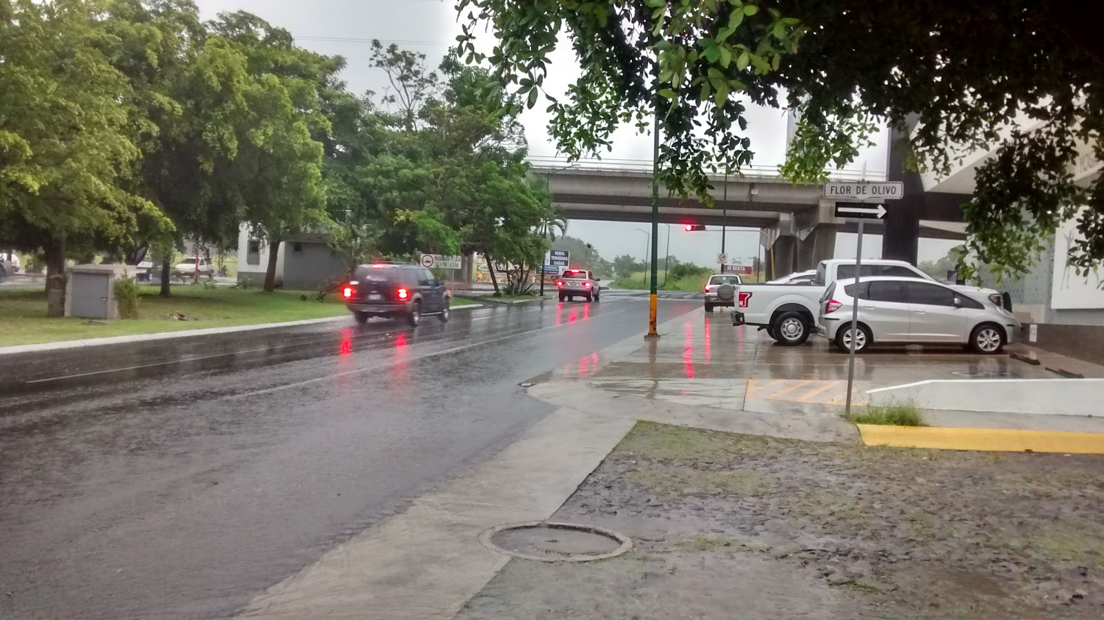 leetx-google-photo-71950-1