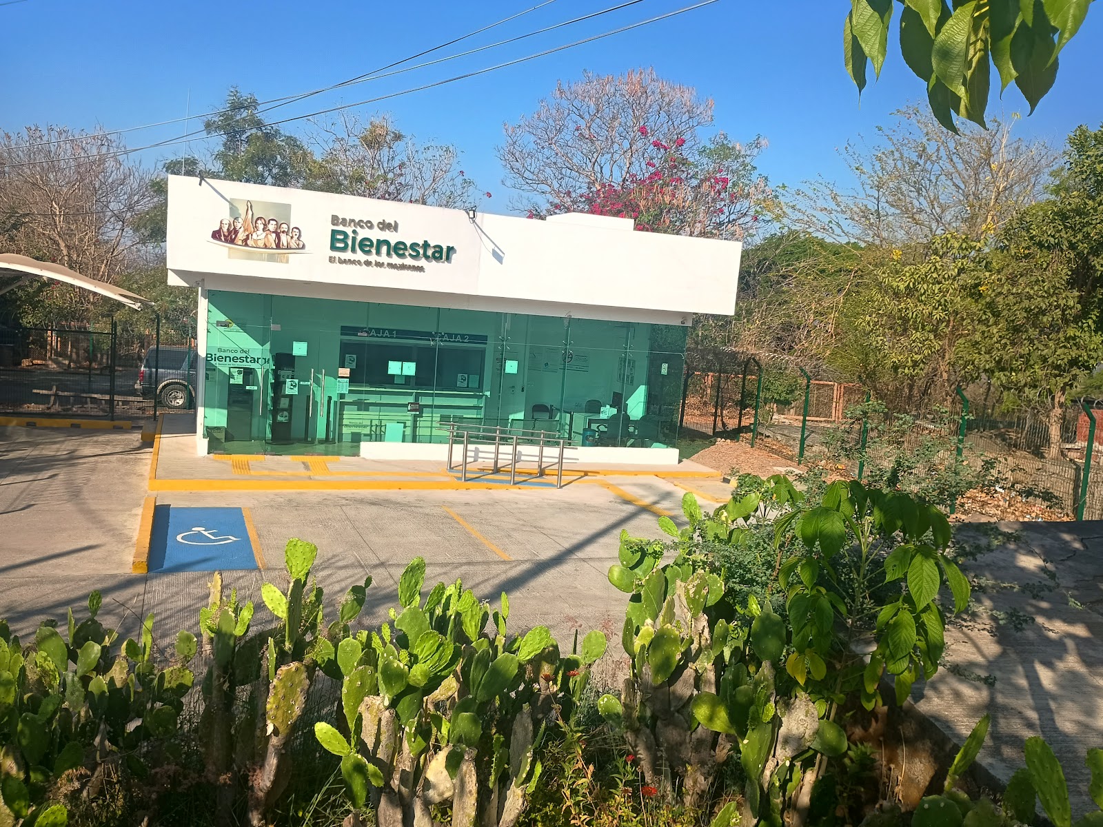 leetx-google-photo-72202-2 leetx-google-photo-72202-2