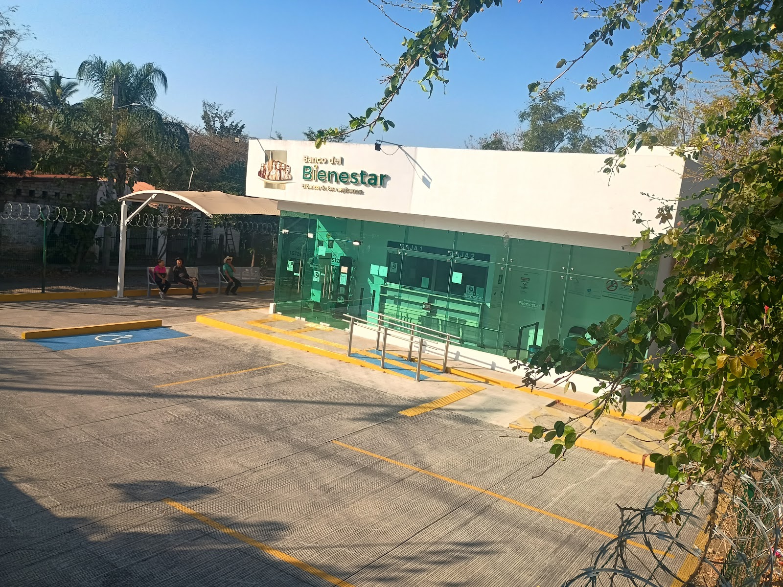 leetx-google-photo-72202-3 leetx-google-photo-72202-3