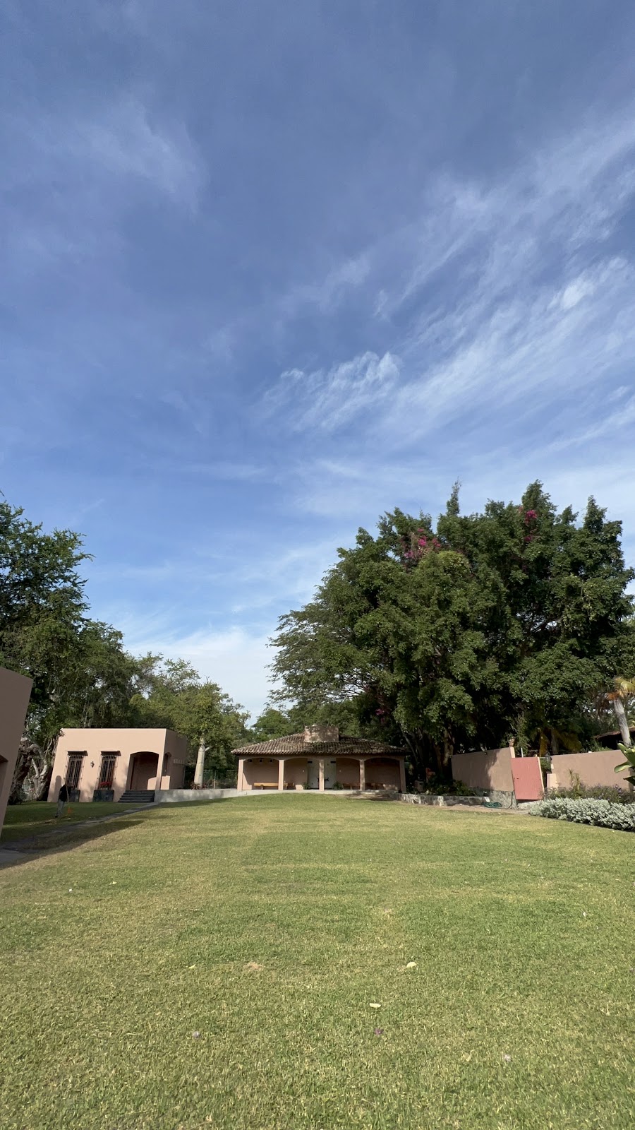 leetx-google-photo-72256-1