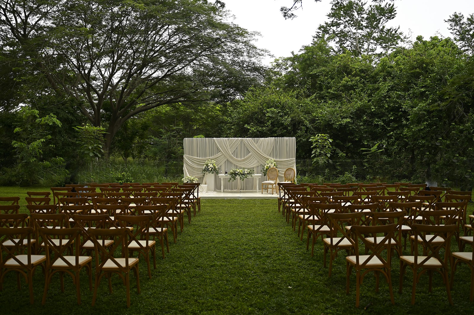 leetx-google-photo-72326-7 leetx-google-photo-72326-7