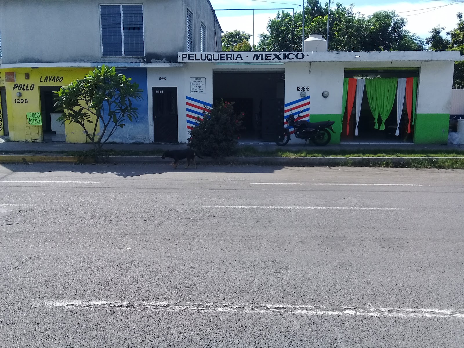 leetx-google-photo-72854-2 leetx-google-photo-72854-2