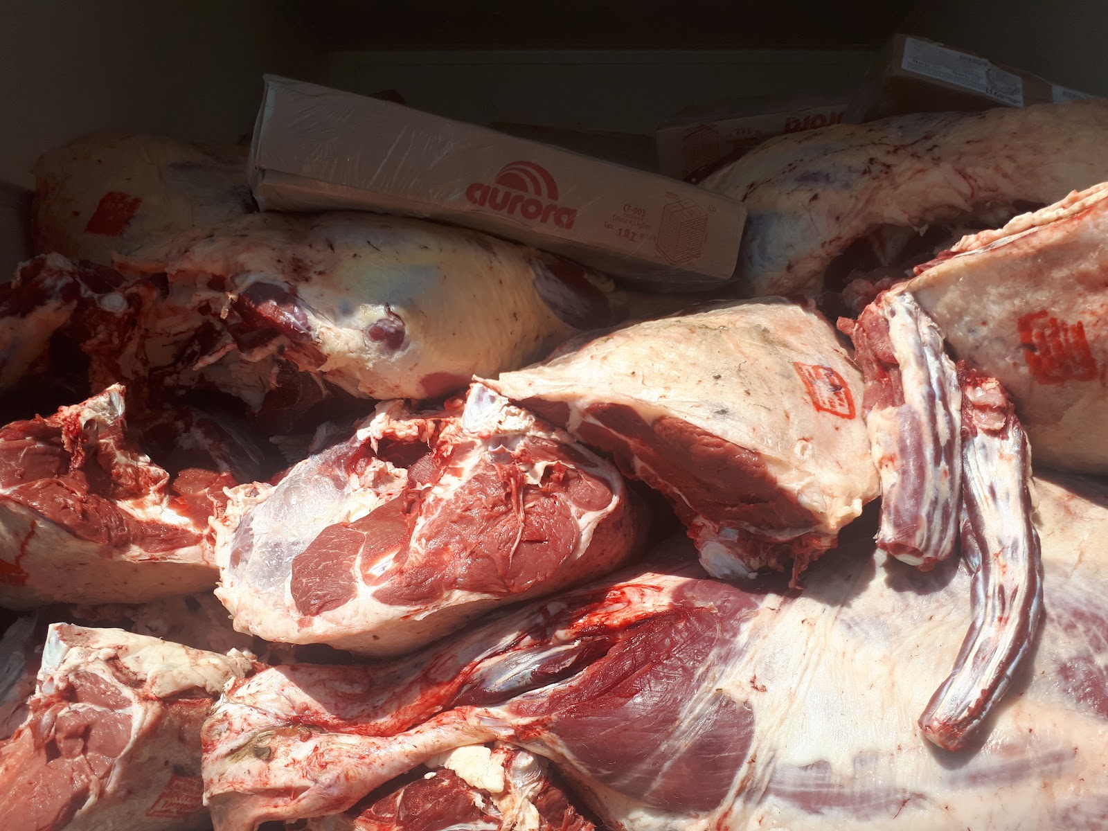 leetx-google-photo-72923-6 leetx-google-photo-72923-6