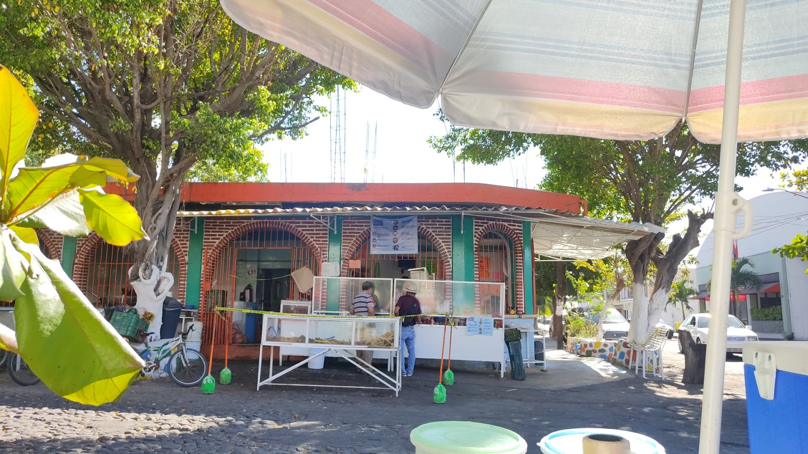 leetx-google-photo-72942-1