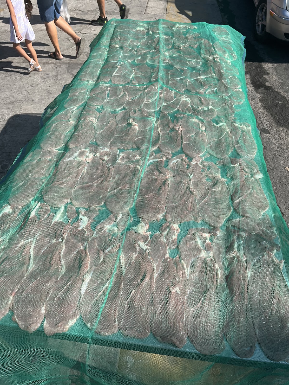 leetx-google-photo-73027-4 leetx-google-photo-73027-4