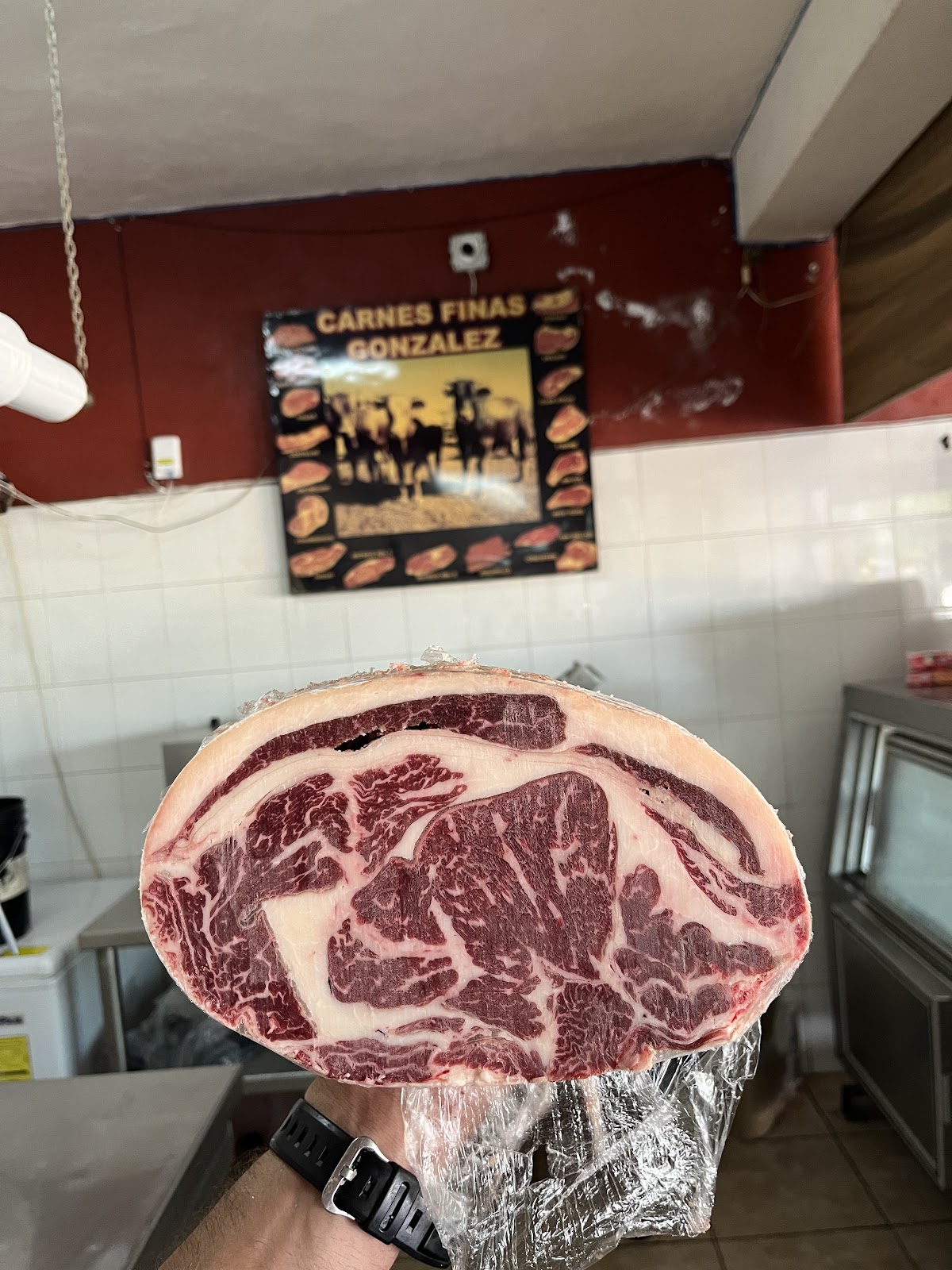 leetx-google-photo-73027-7 leetx-google-photo-73027-7