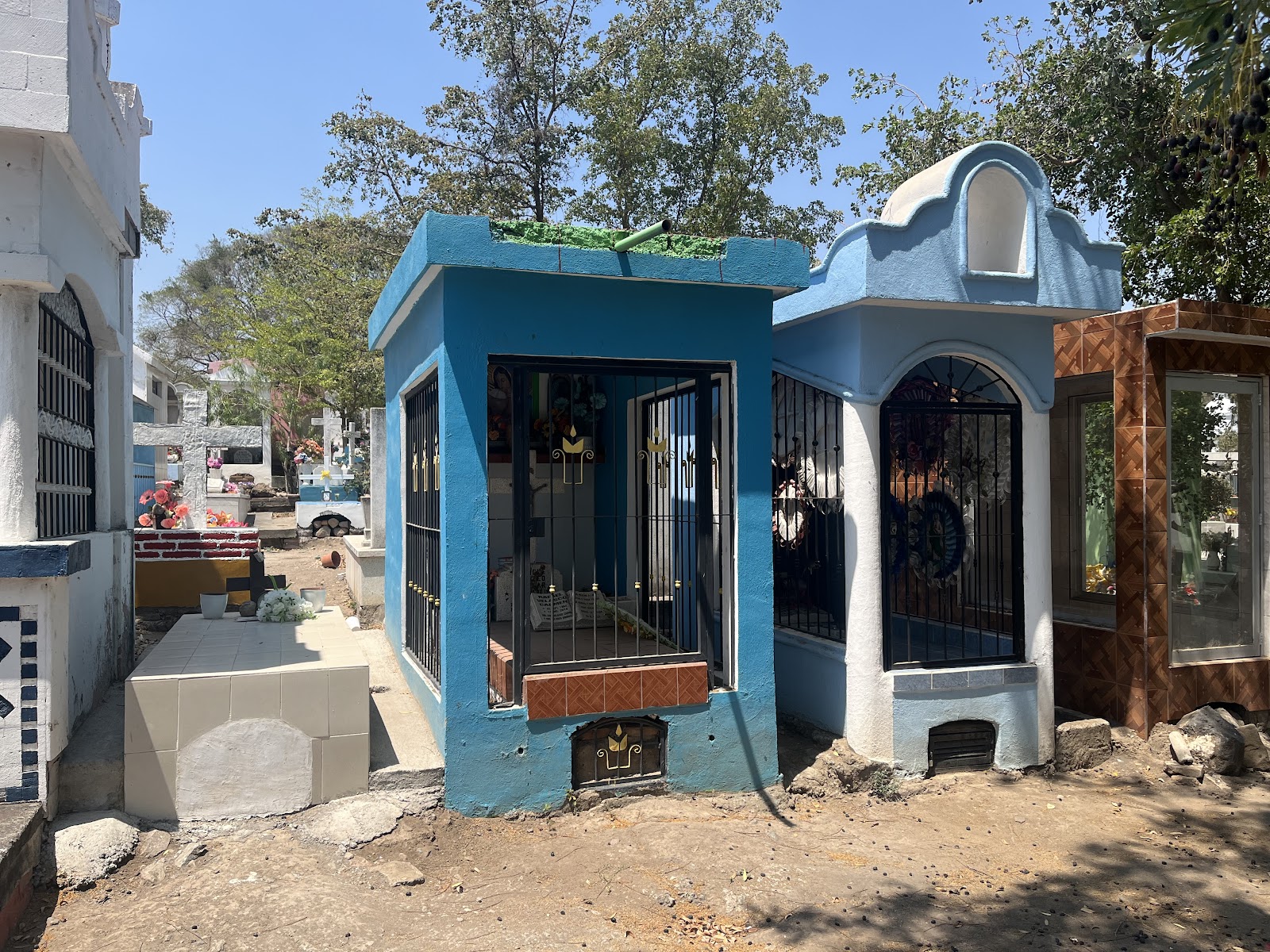 leetx-google-photo-73137-2 leetx-google-photo-73137-2