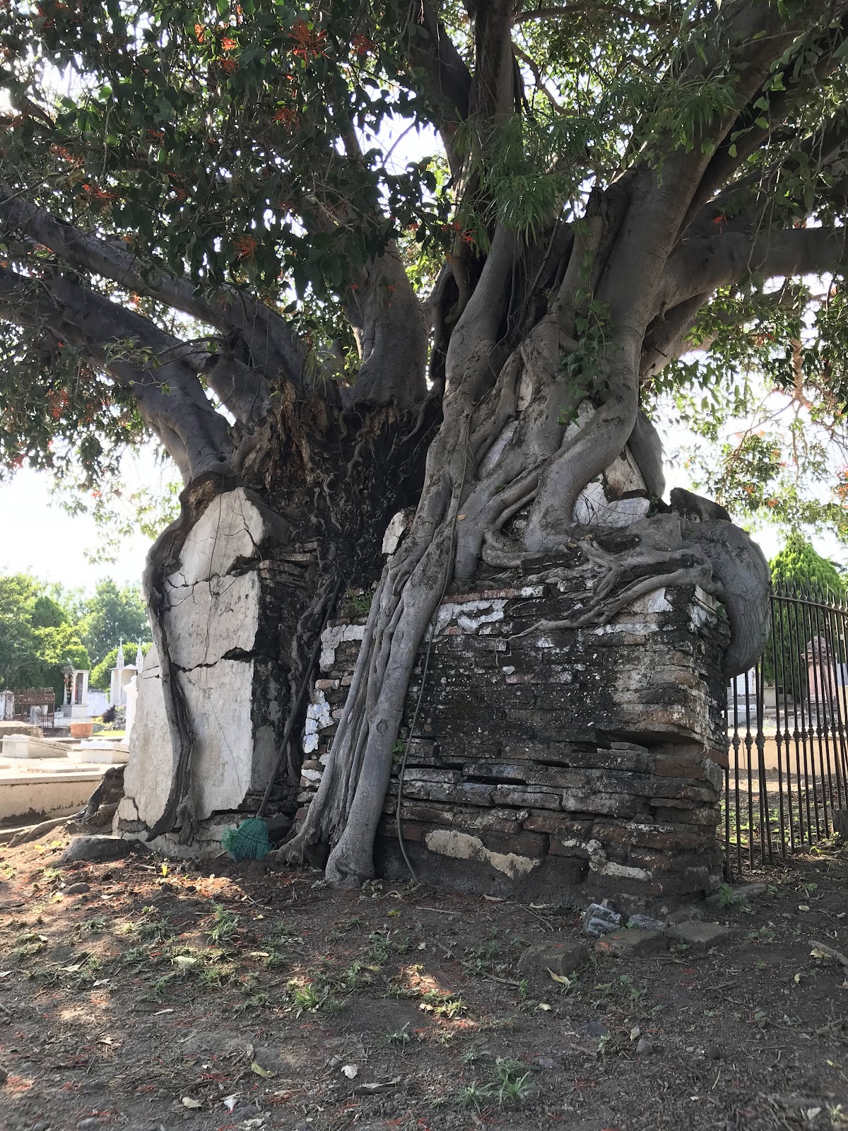 leetx-google-photo-73137-3 leetx-google-photo-73137-3