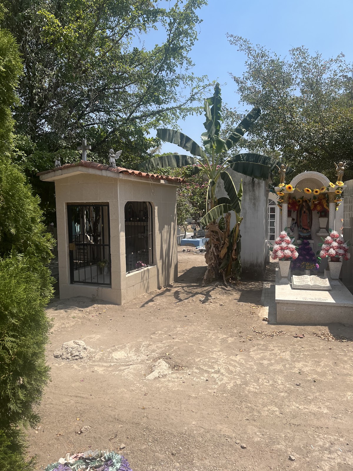 leetx-google-photo-73137-4 leetx-google-photo-73137-4